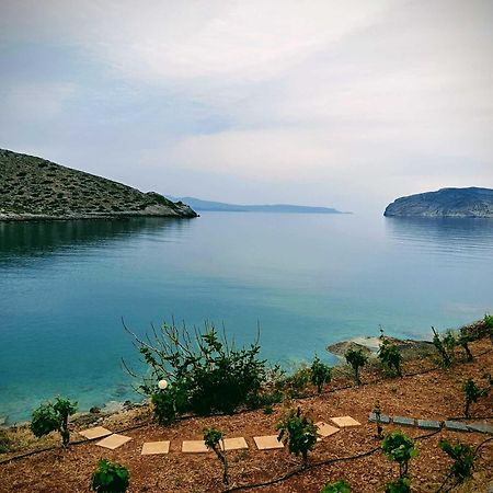 Tholos Alexandra'S Beachfront House Kavoúsion Zewnętrze zdjęcie