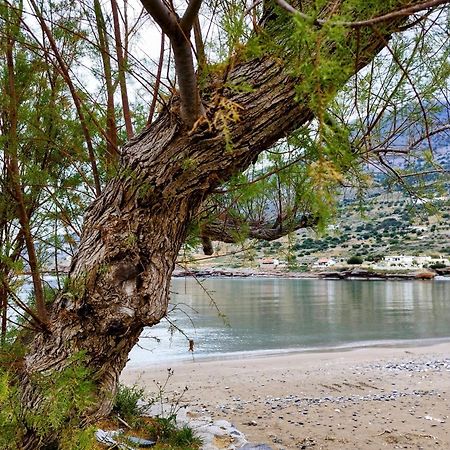 Tholos Alexandra'S Beachfront House Kavoúsion Zewnętrze zdjęcie