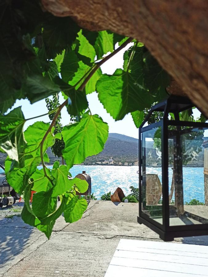 Tholos Alexandra'S Beachfront House Kavoúsion Zewnętrze zdjęcie