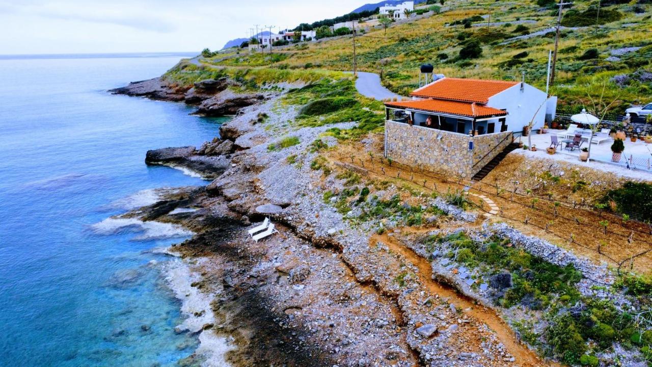 Tholos Alexandra'S Beachfront House Kavoúsion Zewnętrze zdjęcie